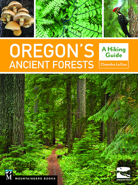 Cape Arago Audubon Society&nbsp;Event