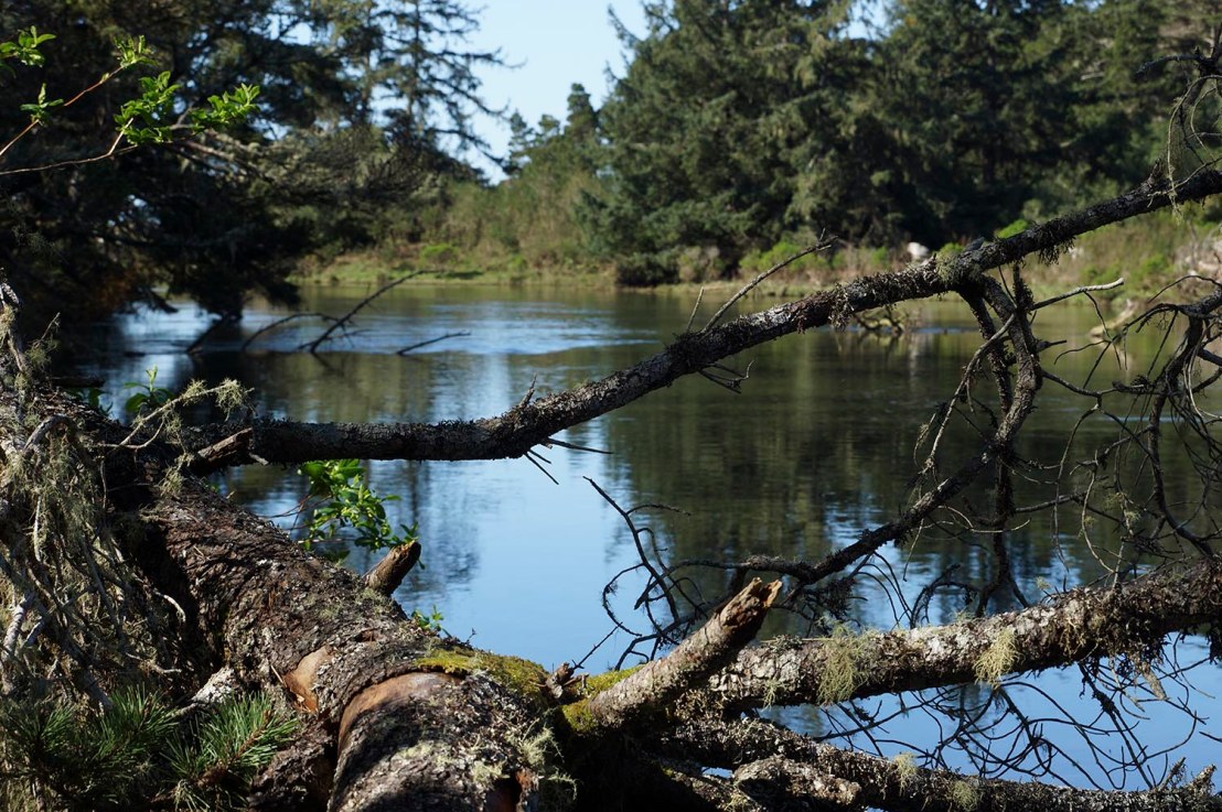 Siltcoos Lake Hike Saturday, February 29,&nbsp;2020