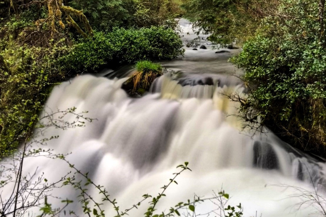 Sweet Creek Falls Hike, Oct.&nbsp;30