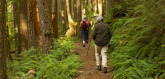 With Help, Hikes Will Resume&nbsp;Soon