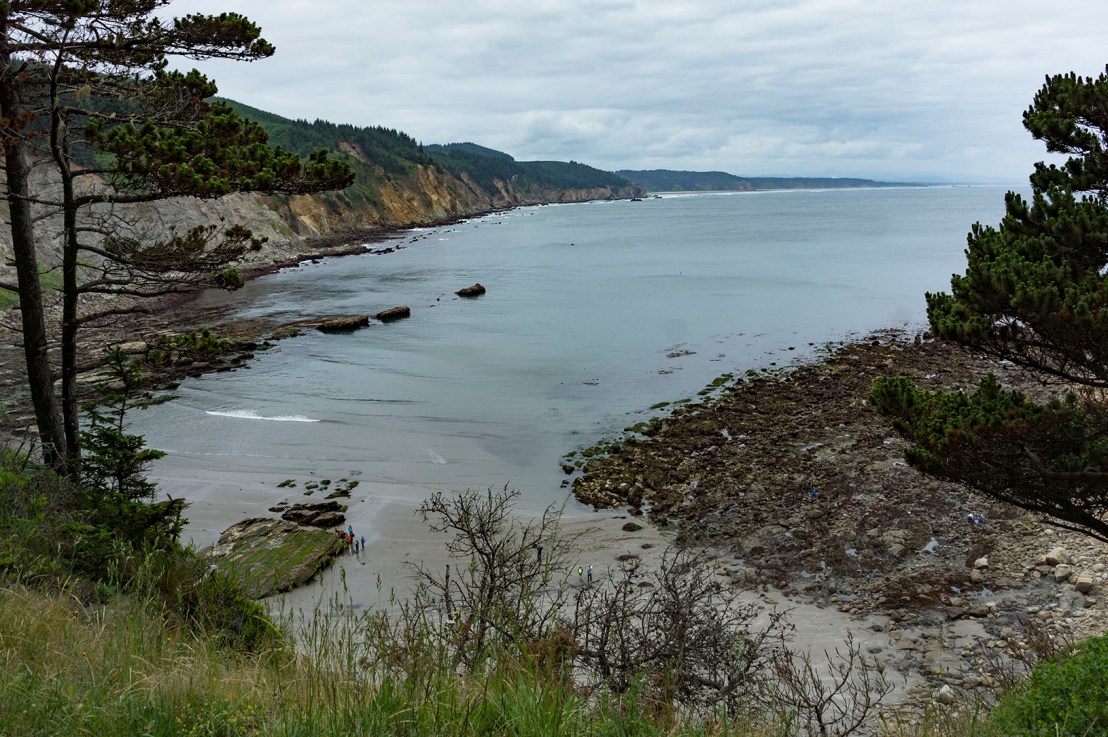 Sunset Bay to Cape&nbsp;Arago-April