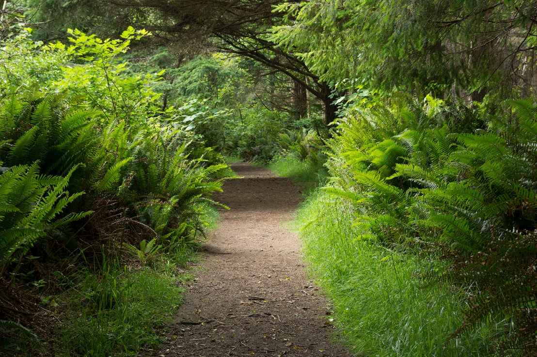 Sunset Bay, Shore Acres, and Cape Arago&nbsp;Trails