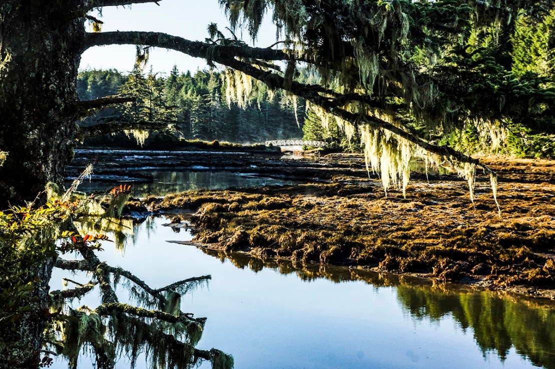 South Slough Trails–Saturday, April&nbsp;3