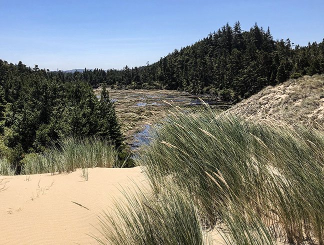 Bluebill and Wild Mare&nbsp;Trail