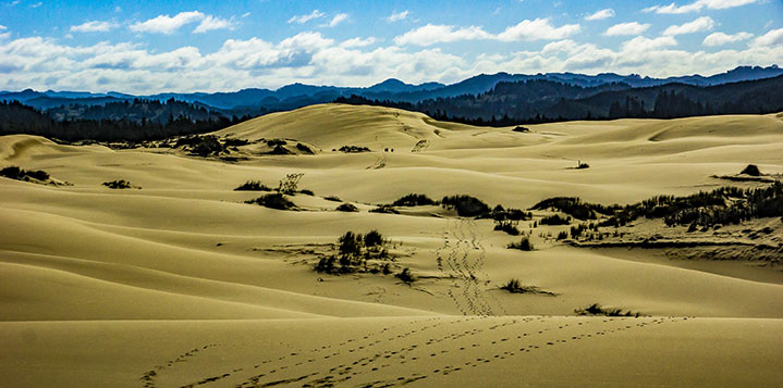 Dellenback Dunes Trail, Sunday, October&nbsp;16