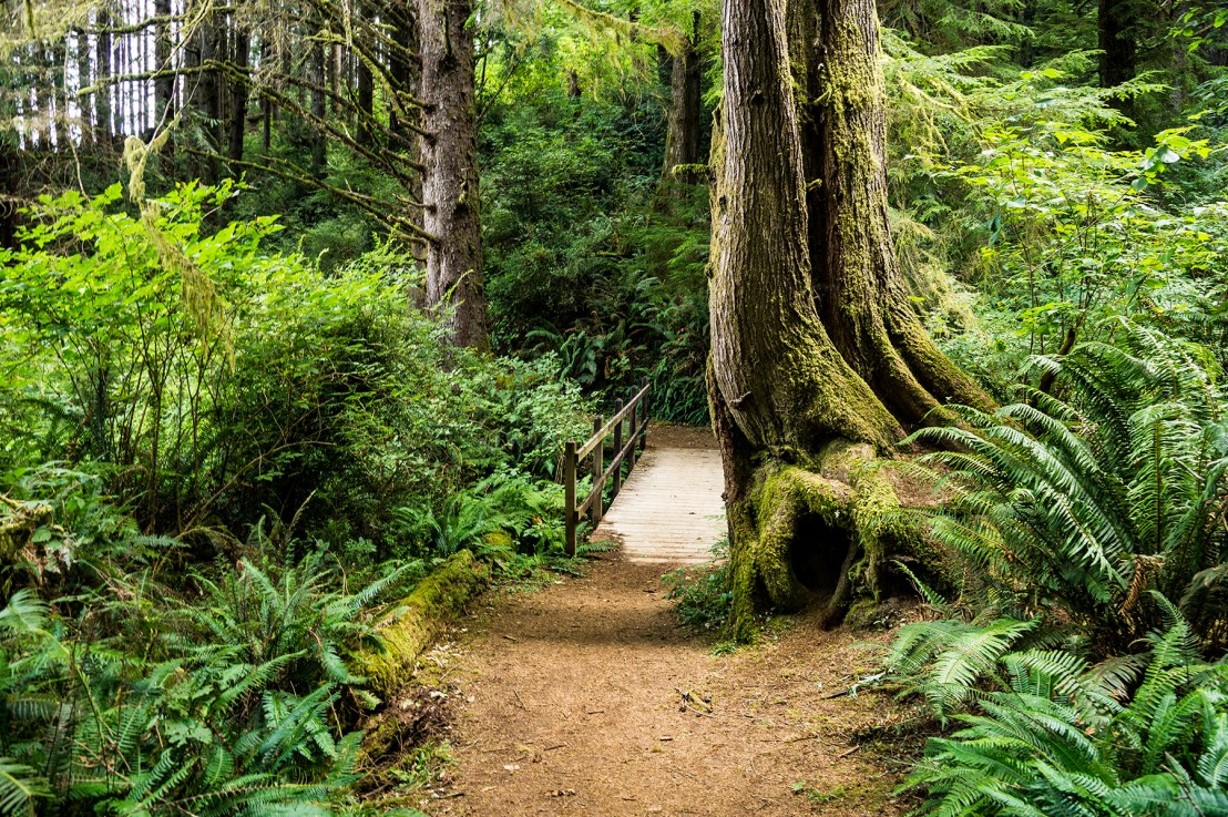 Eel Lake Hike, Saturday June 5,&nbsp;2021