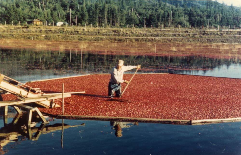 To the Bogs and Back–Bandon 2024