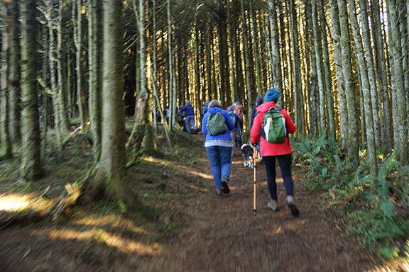 Friends of the Umpqua–Heceta Head and Hobbit Trail&nbsp;Hike